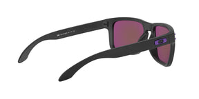 HOLBROOK PRIZM VIOLET