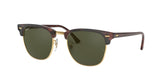 CLUBMASTER MOCK TORTOISE